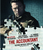 theaccountantbd