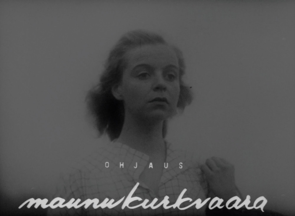 onnensaari2still