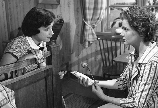 paapystyynhelena1still