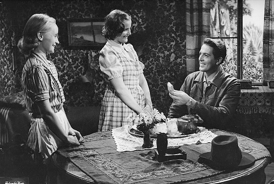 siltalanpehtoori53still1