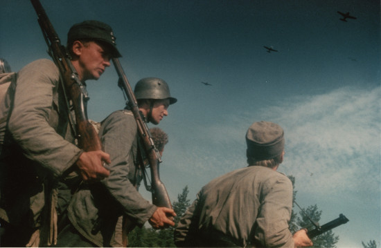 molletuntematonsotilas8242348